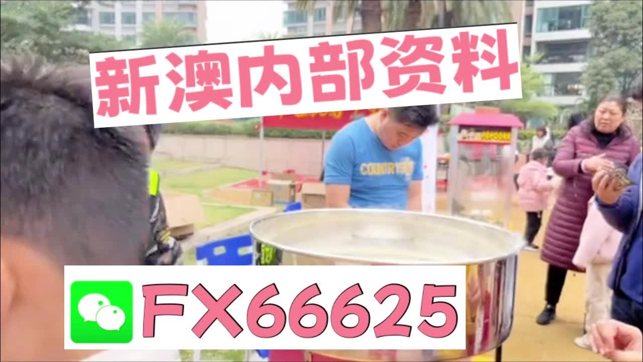新奥2025最新资料大全，准确资料、全面数据与落实行动