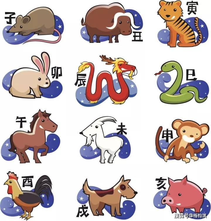 今晚必中四不像图玄机图，解答、解释与落实之道