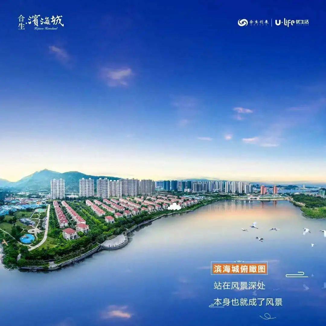 新澳2025最新资料大全第044期详细解析及展望