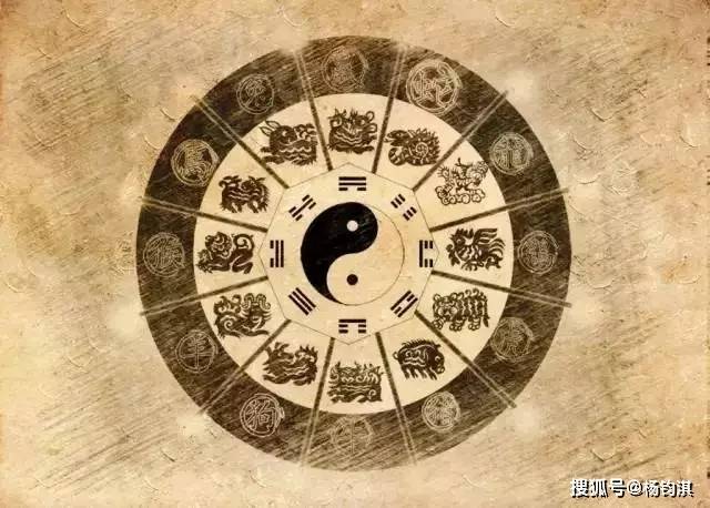 今晚必中四不像图玄机图，解答、解释与落实之道
