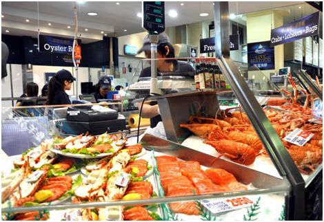 新澳2025最新资料大全餐饮版，探索美食之旅与数字的魅力