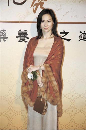 澳门与香港，迈向全年免费政策的未来展望与详细解读