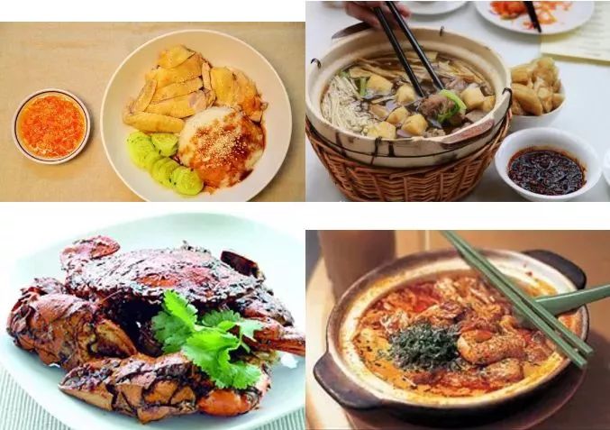 新澳2025最新资料大全餐饮版，探索美食之旅的第021期指南