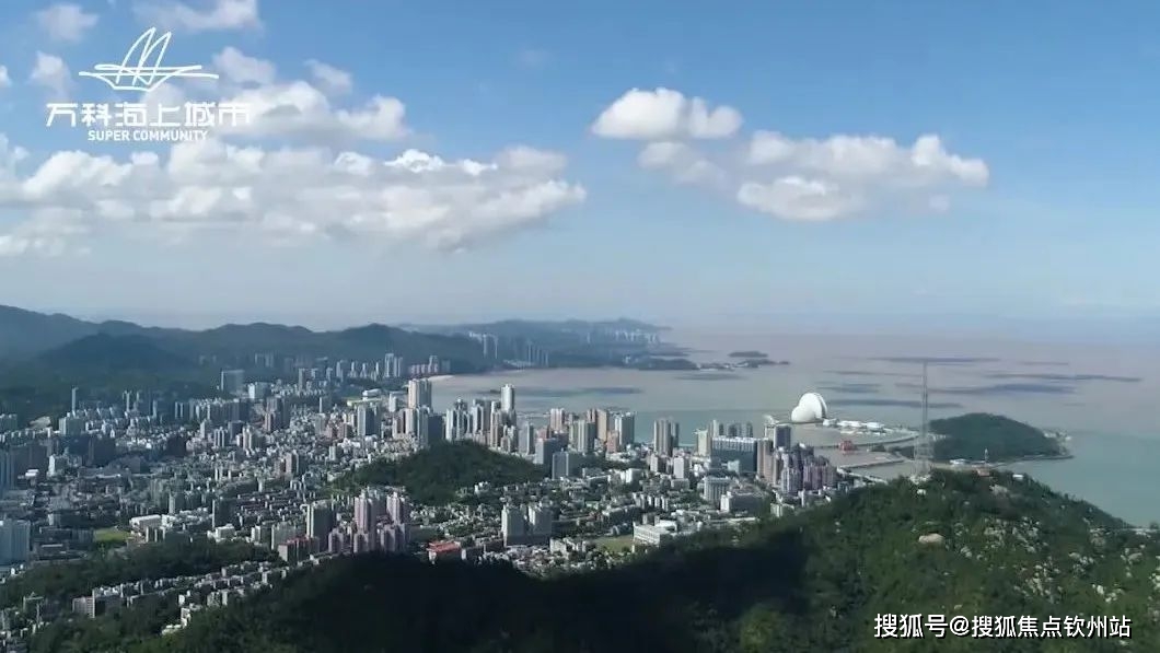 新澳2025最新资料大全第044期详细解析与探讨，从数字39到时间标记T:36的洞察