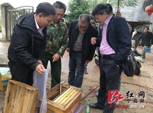 揭秘最准一码一肖，专业版实用释义、解释与落实—科学探索之旅