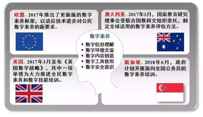 探索未来，2025年新澳全年资料与高质量解析