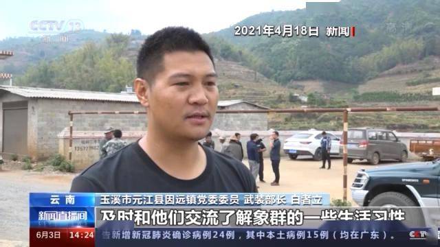 今晚买四不像必中一肖，专家的解答与解释落实策略