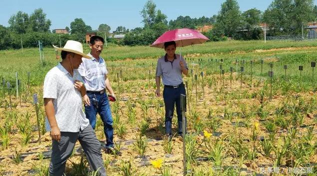 揭秘最准一码一肖，专业版实用释义、解释与落实—探寻预测真相的科研之旅