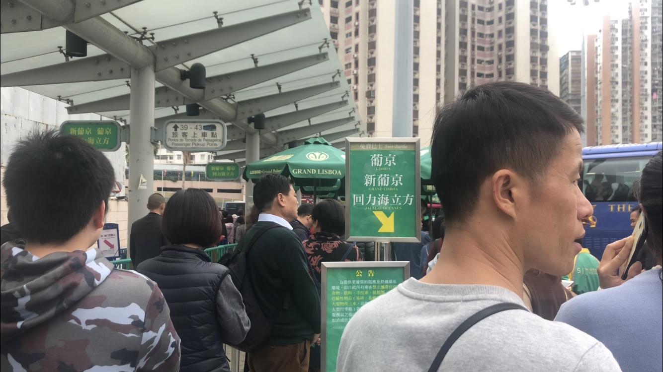 探索未来澳门，全面免费政策的释义、解释与落实