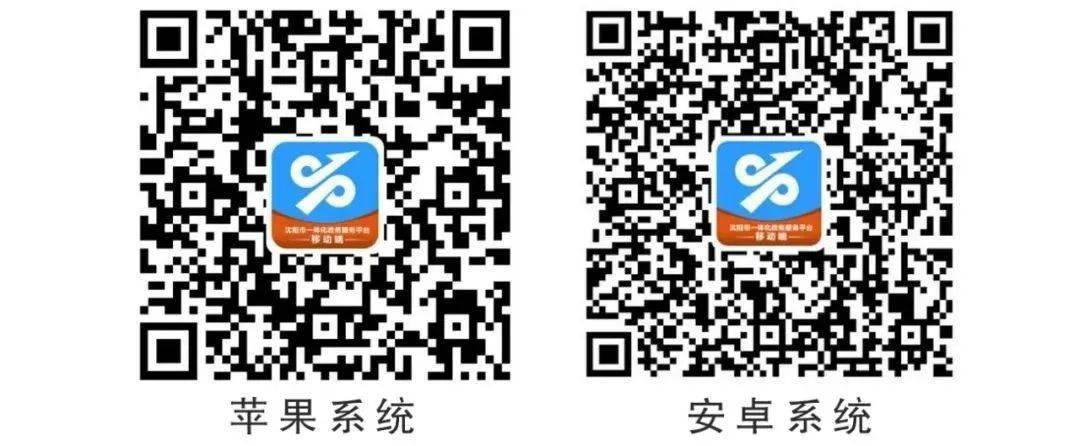 管家婆一码一肖，揭秘官方APP下载安装的秘密