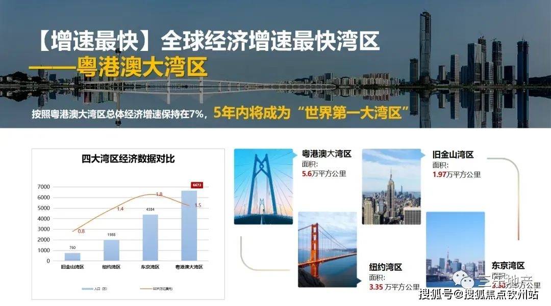 新澳2025最新资料大全第044期详细解析与探讨，从数字洞察未来趋势的奥秘