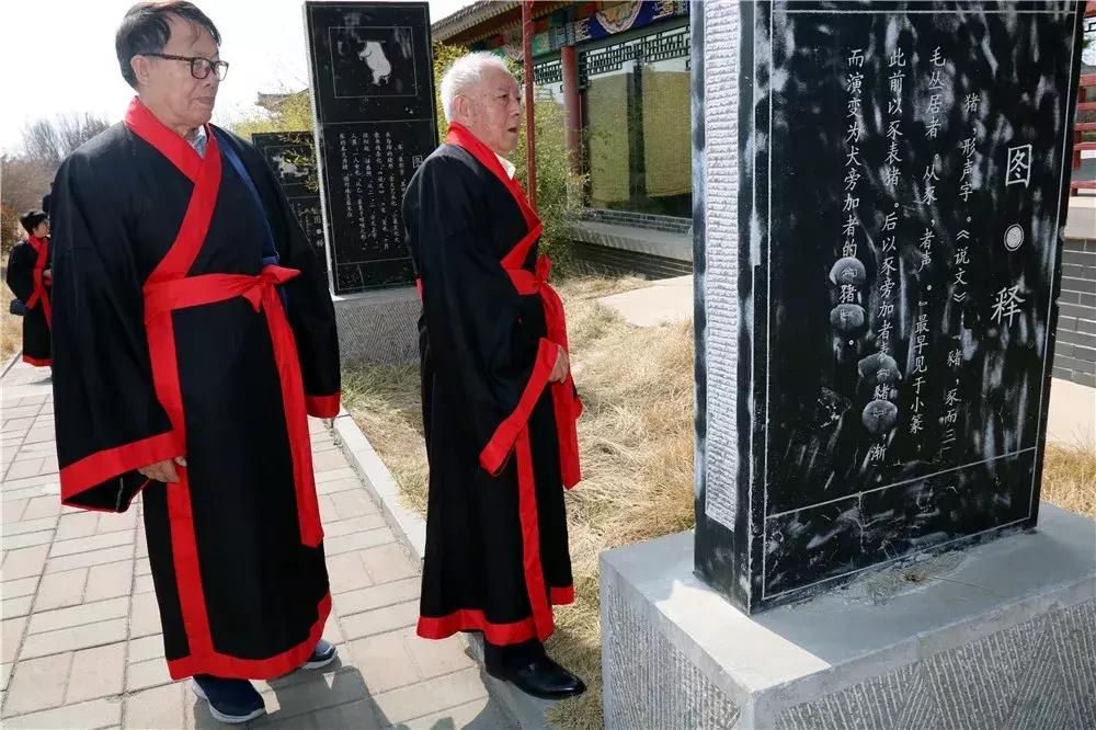 探索未来澳门，全面免费政策释义与落实策略