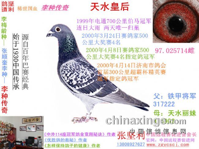 今晚必中四不像图玄机图，解答、解释与落实