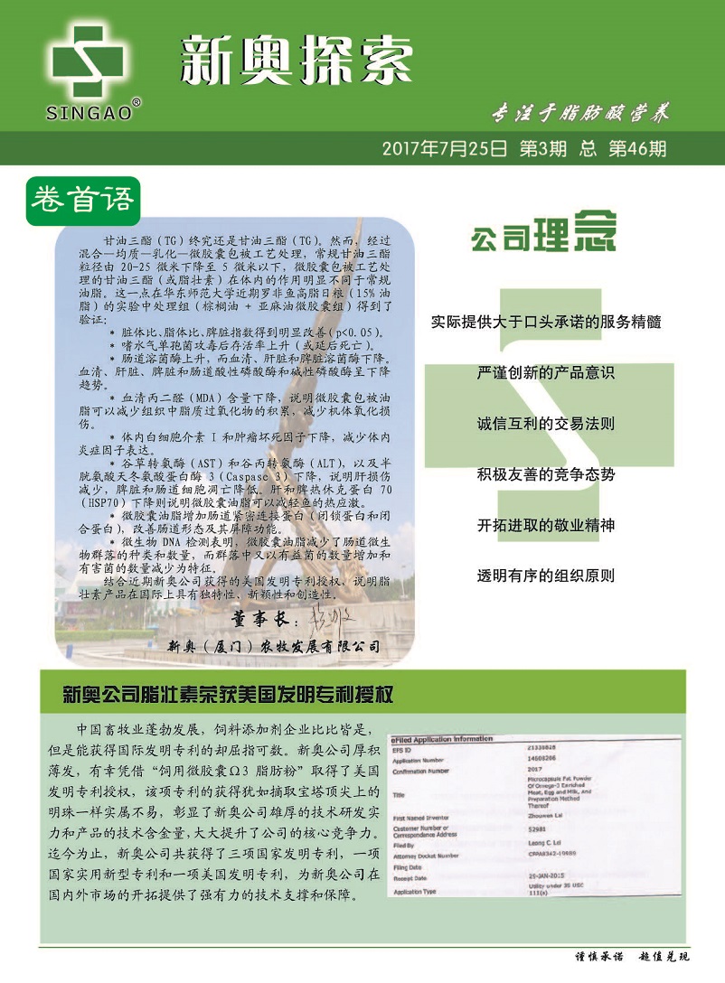 探索未来，2025年新澳全年资料深度解析与推荐