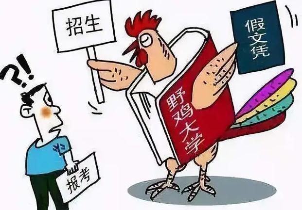 警惕虚假宣传，认清正版价值 探索2025天天彩正版免费资料的真实面貌与程序执行提升之路