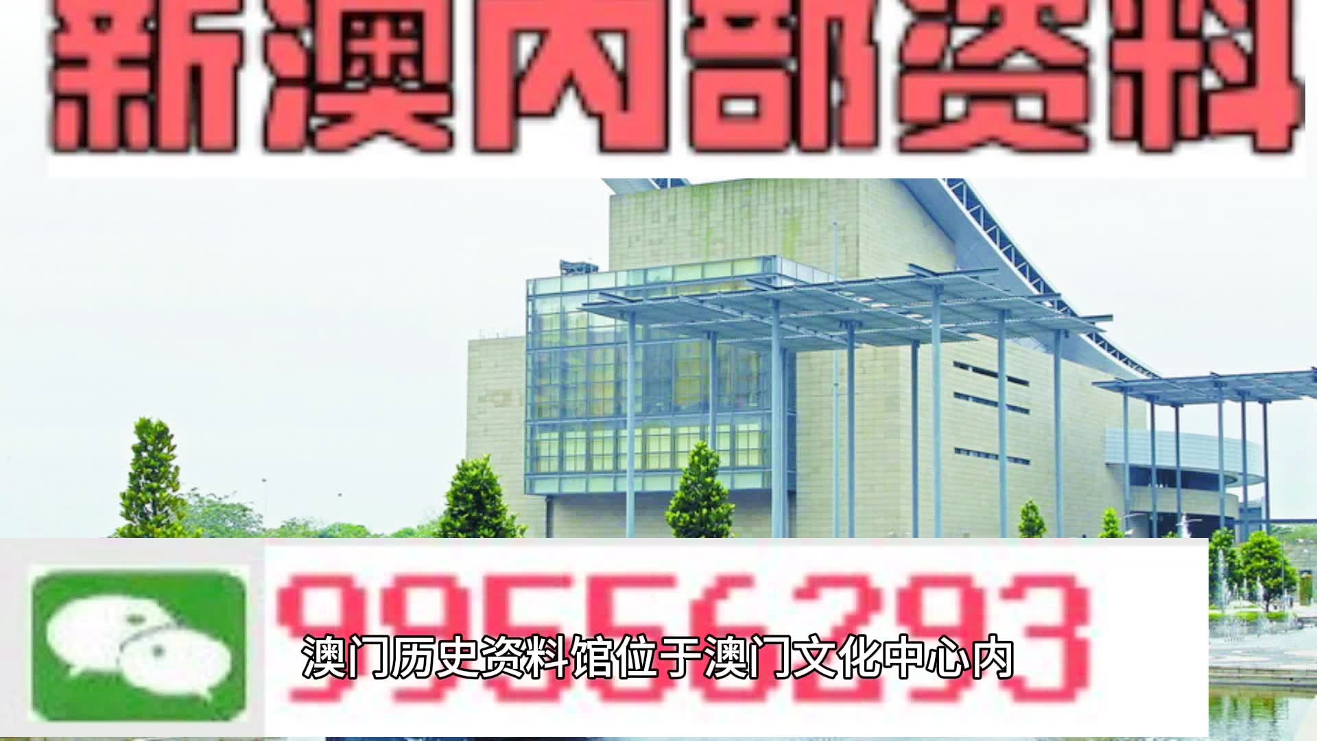 免费公开2025正版资料与精准资料大全，澳门一码一肖的探寻之旅
