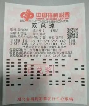 今晚买彩票四不像必中一肖，专家的解答与解释落实策略