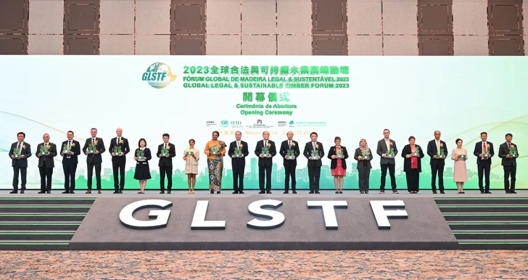 探索未来的澳门，全面免费政策释义与落实之路