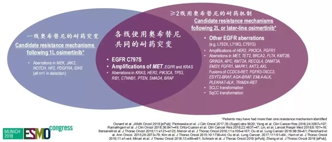 全民喜欢，2025新奥最新资料大全精选解析、落实与策略探讨
