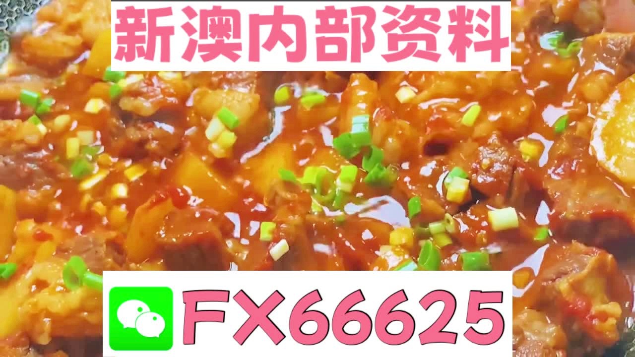 新奥2025年免费资料大全汇总，探索未来，掌握先机